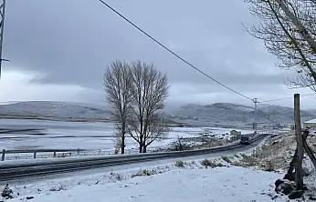 Yükseklerden merkeze inen kar Patnos'u beyazladı