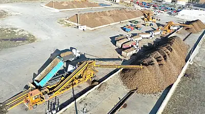 Ağrı'da ayçiçeği ve şeker pancarı üretimi kent ekonomisine can katıyor