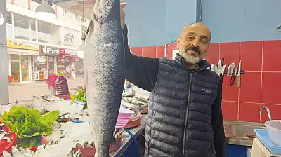 Ağrı'da balık sezonu açıldı! Tezgâhlarda hareketlilik başladı