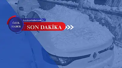 Ağrı'da çatılardan düşen kar araçları vurdu