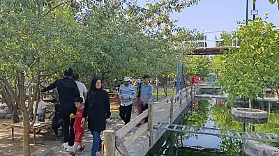 Ağrı'da çöl sıcağında vahayı bulmuş gibi serinliyorlar