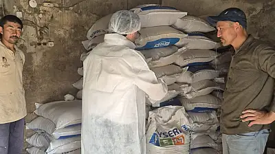 Ağrı'da hayvan sağlığı için yem numuneleri inceleniyor