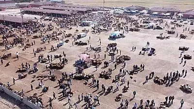 Ağrı'da hayvan yetiştiricilerinin beklediği haber geldi: Hayvan Borsası açılmayacak!
