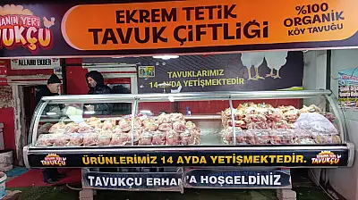 Ağrı'da her Cuma 250 aileye ücretsiz tavuk dağıtımı devam ediyor