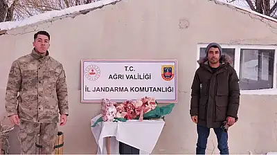 Ağrı'da jandarma kaçak etlere el koydu