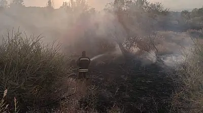 Ağrı'da mangal keyfi az kalsın faciaya dönüşüyordu
