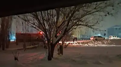 Ağrı'da müstakil ev yangını: Facia son anda önledi