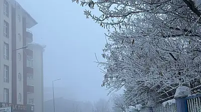 Ağrı'da sisli ve buzlu sabahlar devam ediyor