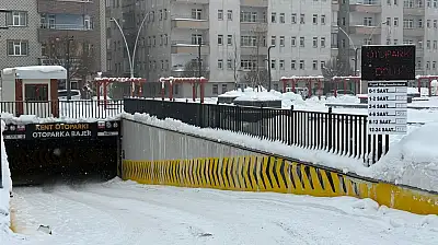 Ağrı'da soğuk hava bastırdı, kapalı otoparklarda yer kalmadı