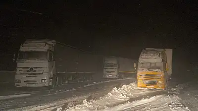 Ağrı'da Tendürek geçidi kar ve tipi nedeniyle geçilemedi