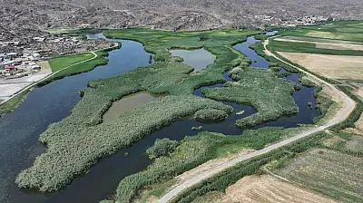 Ağrı Dağı'nın eteklerindeki kuş cenneti turizme açılıyor