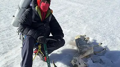 Ağrı Dağı'nın Kuzey Rotasında Donmuş Geyik Bulundu