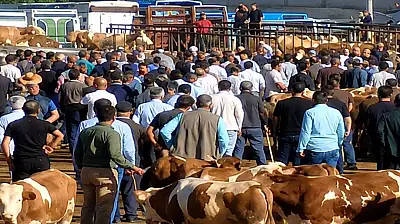 Ağrı Hayvan Pazarı'nda kavga! Taşlar ve sopalar havada uçuştu