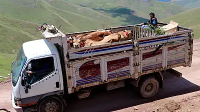 Ağrı'nın göç bilançosu ağır oldu! 1 yılda 28 bin kişi göç etti