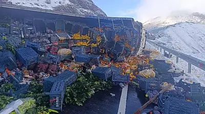 Ağrı yolu sebze tarlasına döndü: kamyon devrildi, tonlarca ürün ziyan oldu
