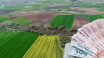 Bağ Evi Yapacaklara Yeni Dönem: Tarım Arazilerinde Yapılaşma Şartları Değişti