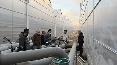 Diyadin'de domates üretimi için dev yatırım tamamlanma aşamasında!