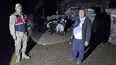 Diyadin'de kaybolan 10 küçükbaş hayvanı jandarma drone ile buldu