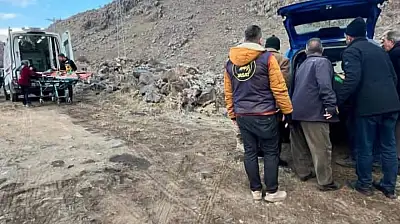 Doğubayazıt'ta ayı saldırısı: 1 kişi ağır yaralandı