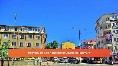 Dünyada En Çok Ağrılı Hangi Ülkede Bulunuyor?