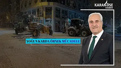 Eleşkirt Belediyesi yoğun karla mücadelede dikkat çekti