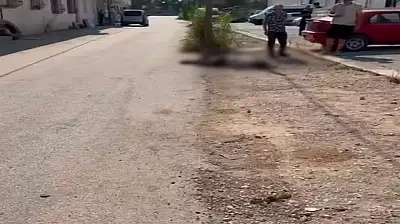 Eşi ve eniştesini tabancayla öldüren şüpheli tutuklandı: Genç kadının cenazesi Ağrı'ya gönderildi
