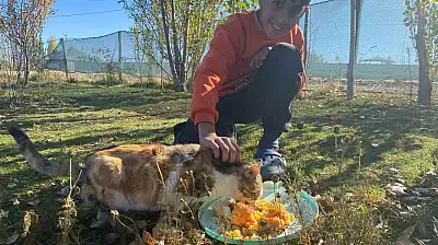 Evinin kapısını hayvanlara açan Albay, duyarlılığıyla örnek oldu