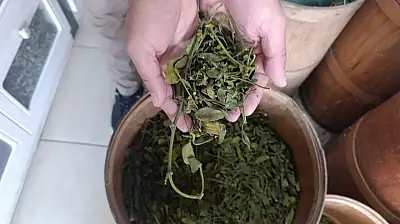 Kanser vakalarının yüksek olduğu Ağrı'da doğal ürünlere yönelim arttı