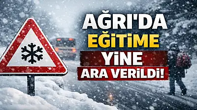 Kar yağışı nedeniyle Ağrı'da eğitime yine ara verildi