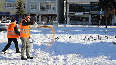Kars Belediyesi'nden Kış Şartlarında Kuşlara Yem Desteği