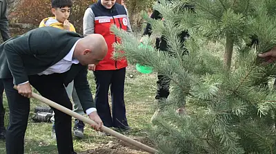 Milli Ağaçlandırma Günü'nde Doğubayazıt yeşerdi
