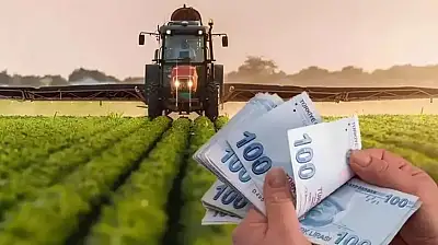 Tarımsal Destek Ödemeleri Hesaplara Yatırıldı: 301 Milyon Liralık Kaynak Çiftçilere Aktarıldı