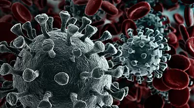 TÜİK'e göre Ağrı, kanserden ölüm oranlarında Türkiye'nin zirvesine yerleşti