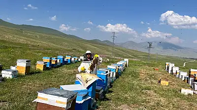 Türkiye'nin çatısında şifalı bal mesaisi başladı