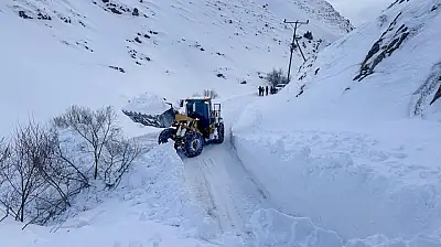 Van'da Zorlu Kış Şartlarına Rağmen Hayat Kurtaran Müdahale