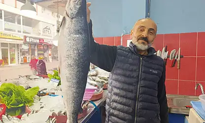 Ağrı'da balık sezonu açıldı! Tezgâhlarda hareketlilik başladı