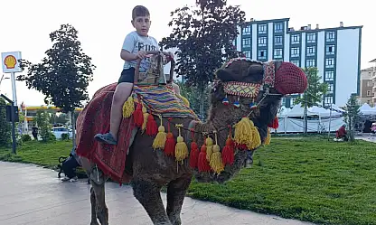 Ağrı'da gören bir daha baktı! Millet Bahçesi'ne deve geldi