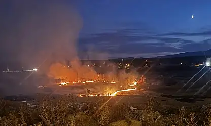 Ağrı'da önemli yapıların bulunduğu bölgede yangın paniği