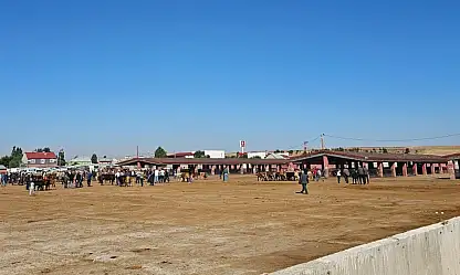 Ağrı'da şap alarmı! Hayvan Borsası 30 gün kapatıldı
