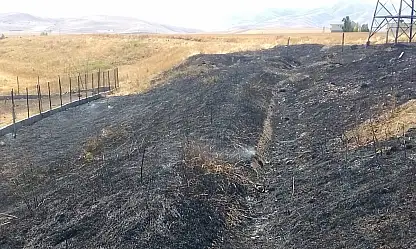 Ağrı'da sarı renkli anızlar siyaha döndü