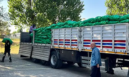Ağrı'da yaz sıcağında kömür fiyatları el yaktı
