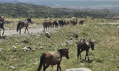 Ağrı Dağı'nın görünmez kahramanları! zirvenin en ağır yükünü onlar taşıyor