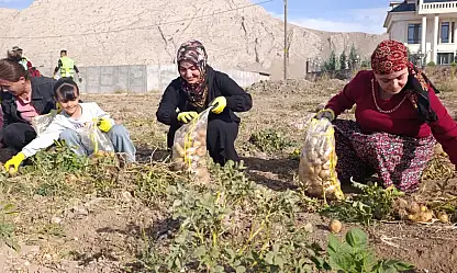 Doğubayazıt'ta tarladan sofraya dayanışma başladı
