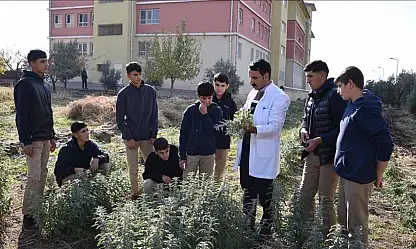 Üniversitelerde staj sistemi baştan yazılıyor