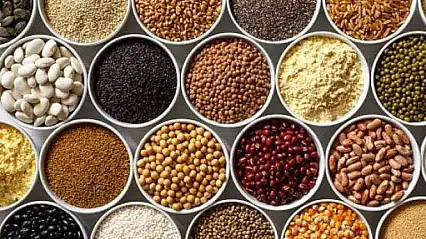 12 KALEM KURU GIDA ALIMI