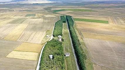 57 yıldır korunan yeşil miras: Kars Ovası'nın ortasında bir vaha