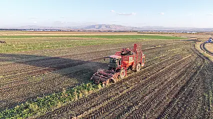Ağrı'da pancar sökümü mesaisi başladı