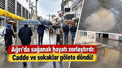 Ağrı'da sağanak hayatı zorlaştırdı: Cadde ve sokaklar gölete döndü