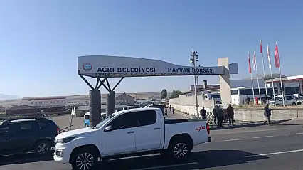 Ağrı'da şap hastalığı sonrası sıkı tedbirler alındı
