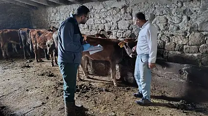 Ağrı'da şap hastalığına karşı önlemler artırıldı: Ekipler sahada!